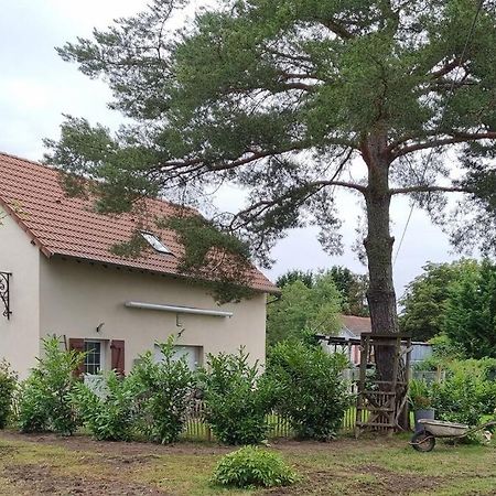 Proche Chateaux Et Zoo De Beauval: Gite De Sologne Pruniers Exteriör bild