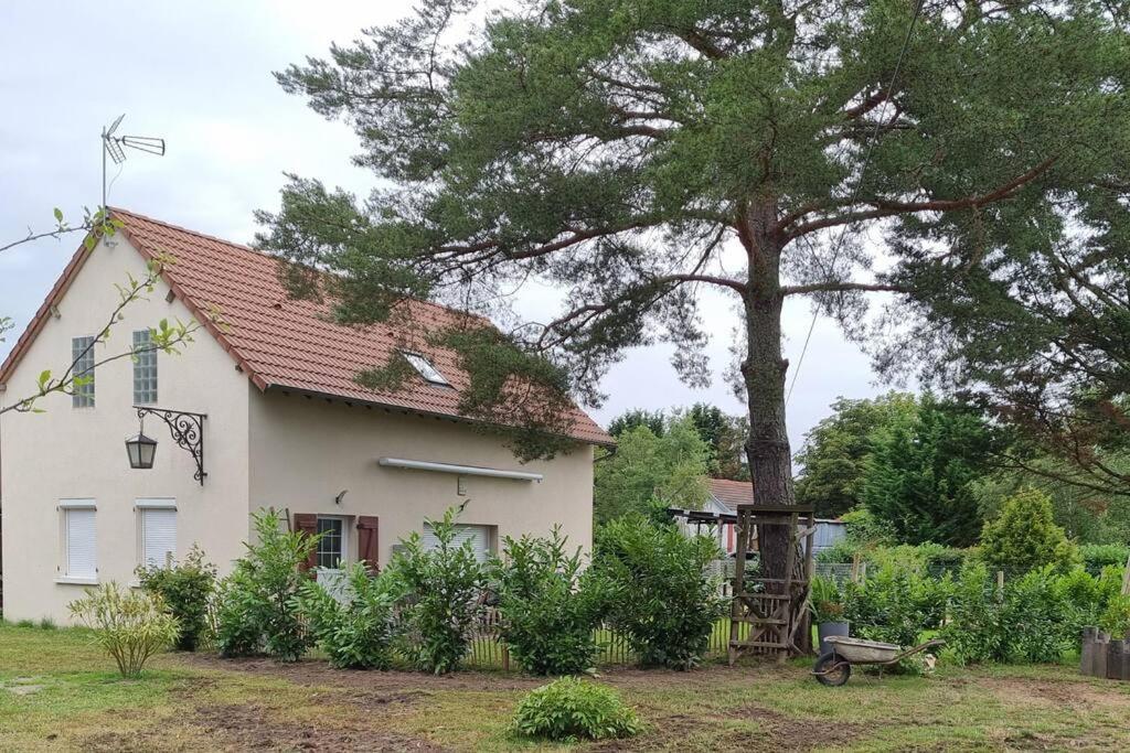 Proche Chateaux Et Zoo De Beauval: Gite De Sologne Pruniers Exteriör bild